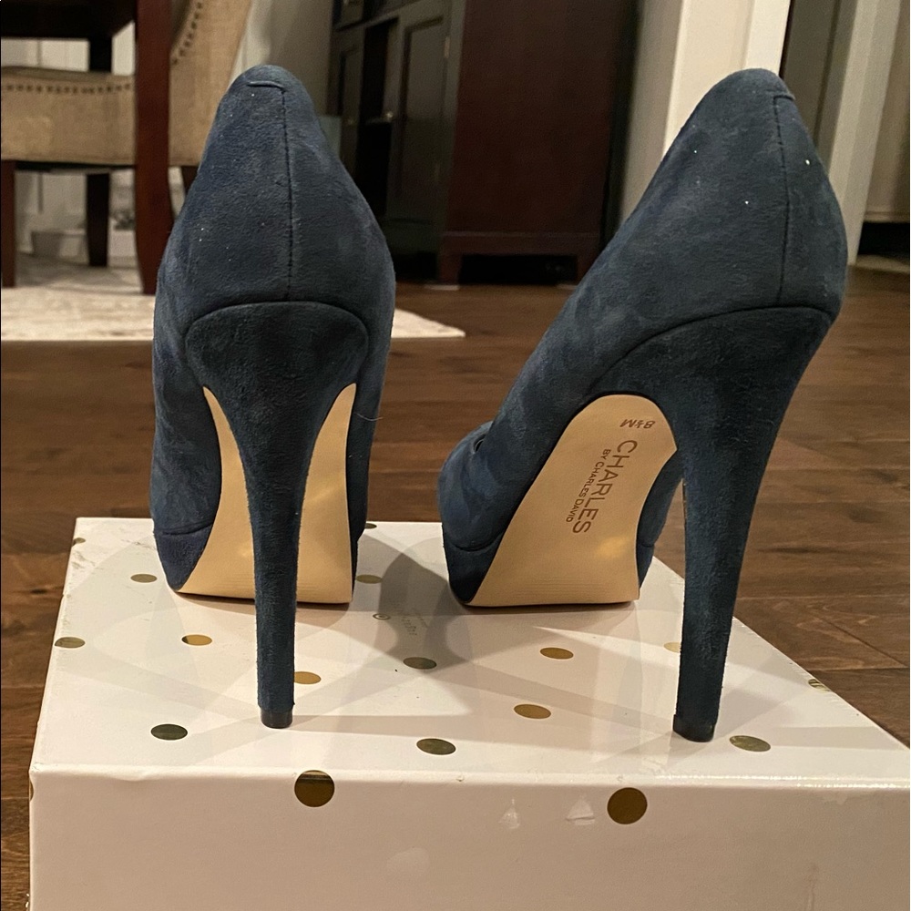 Pumps - Picture 4 of 4